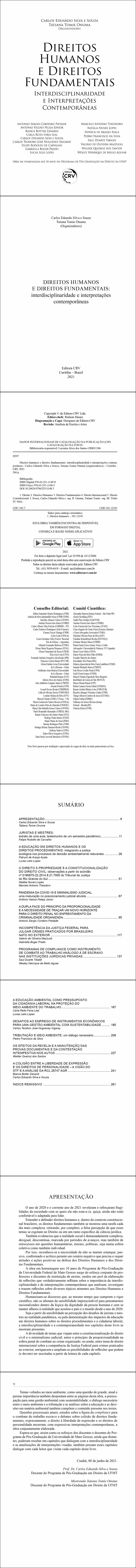 DIREITOS HUMANOS E DIREITOS FUNDAMENTAIS:<br> interdisciplinaridade e interpretações contemporâneas