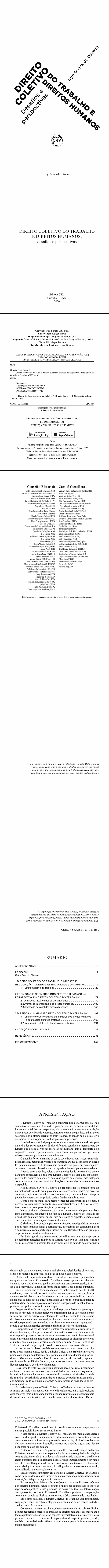 DIREITO COLETIVO DO TRABALHO E DIREITOS HUMANOS: <br>desafios e perspectivas